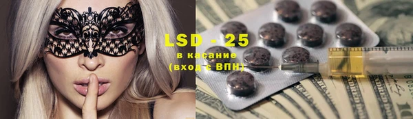стаф Вязьма