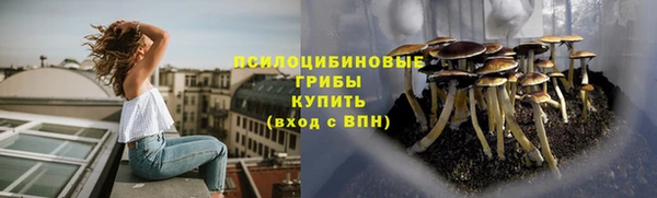 прущая мука Волоколамск