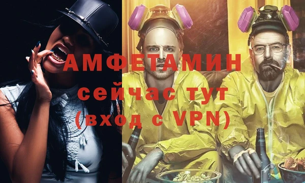 стаф Вязьма