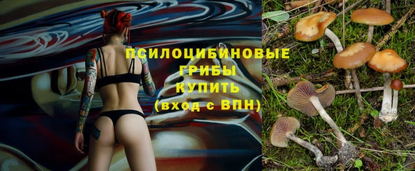 ECSTASY Володарск