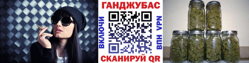 Бошки Шишки гибрид  ОМГ ОМГ сайт  Злынка  где купить наркоту 